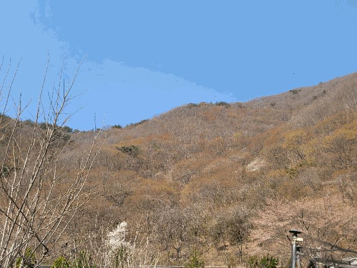 2025타경994 경매 물건 대표 사진
