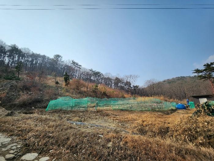 2024타경113627 경매 물건 대표 사진