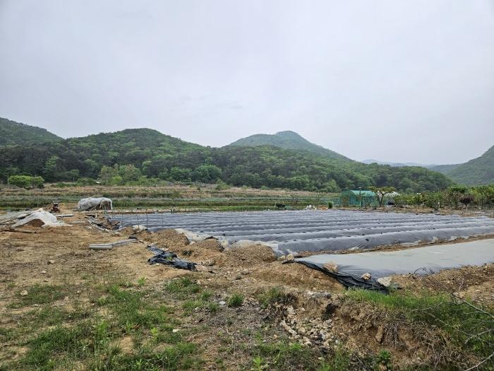 2024타경1878 경매 물건 대표 사진