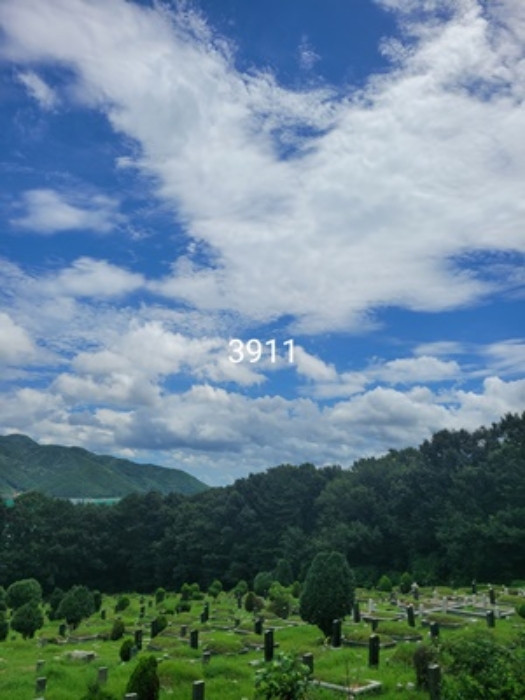 2024타경3911 경매 물건 대표 사진