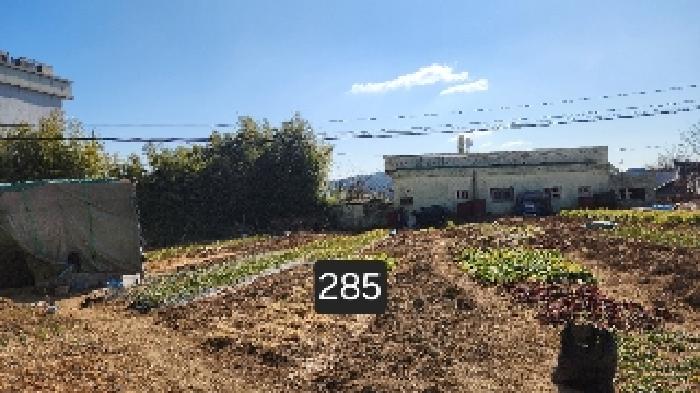 2025타경285 경매 물건 대표 사진