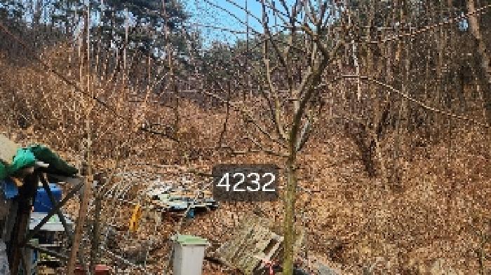 2025타경4232 경매 물건 대표 사진