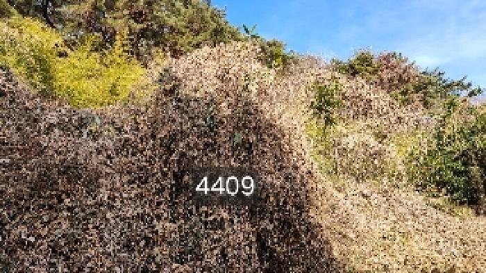 2025타경4409 경매 물건 대표 사진