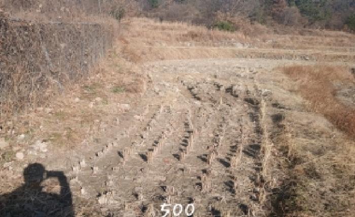 2025타경500 경매 물건 대표 사진