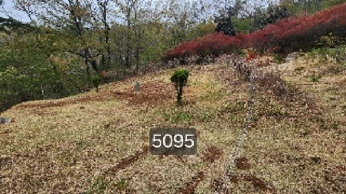 2025타경5095 경매 물건 대표 사진