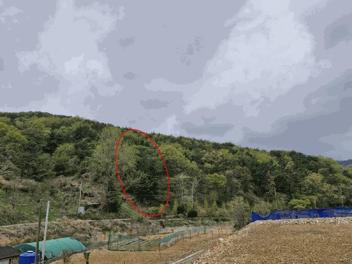 2025타경5153 경매 물건 대표 사진