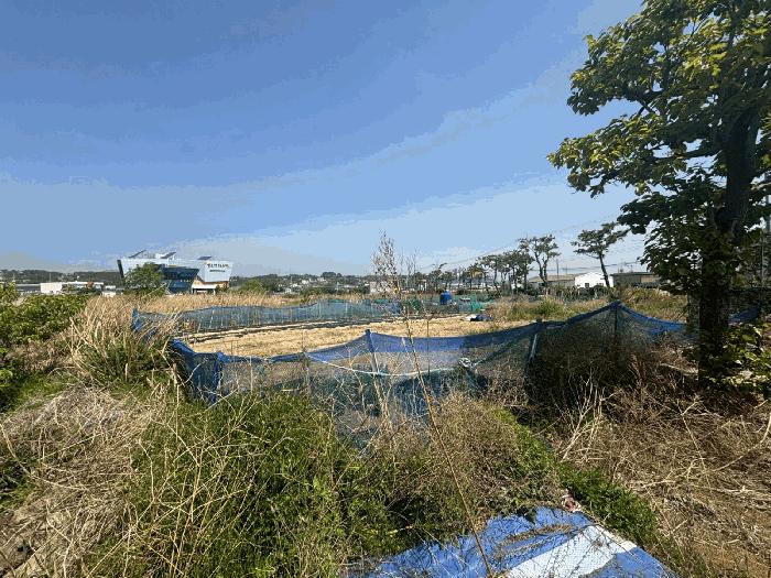 2025타경5293 경매 물건 대표 사진