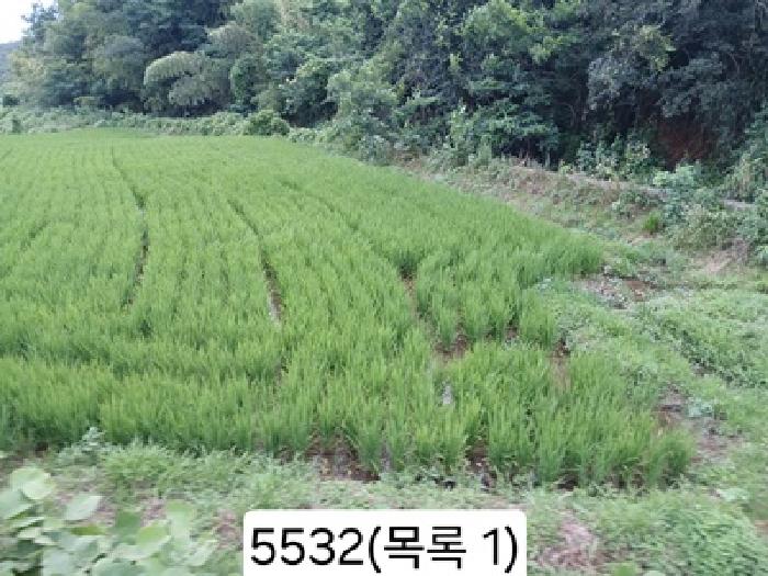 2025타경5532 부산동부지원 답 법원경매 사진