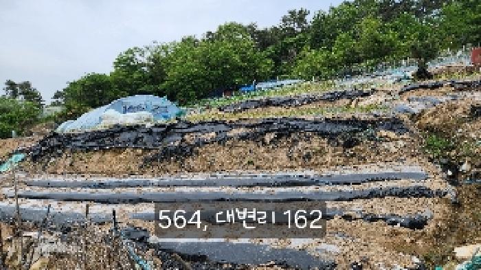 2025타경564 경매 물건 대표 사진