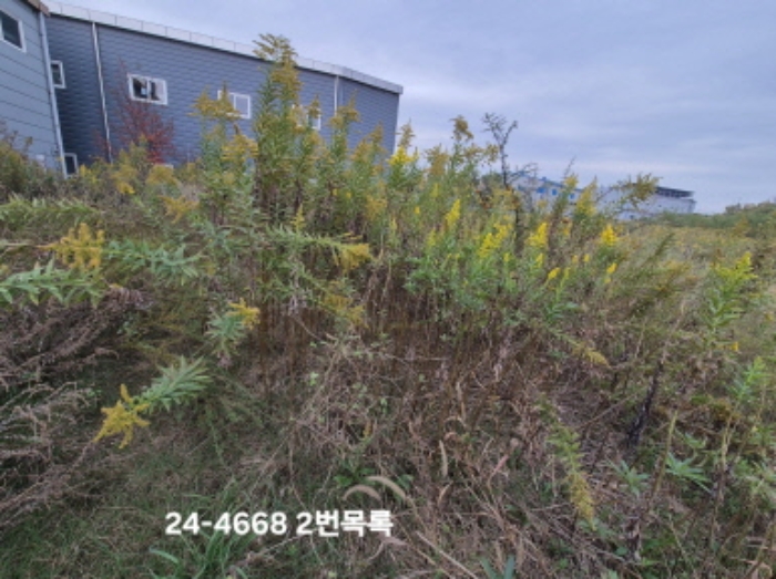 2024타경4668 부산서부지원 전답 법원경매 사진