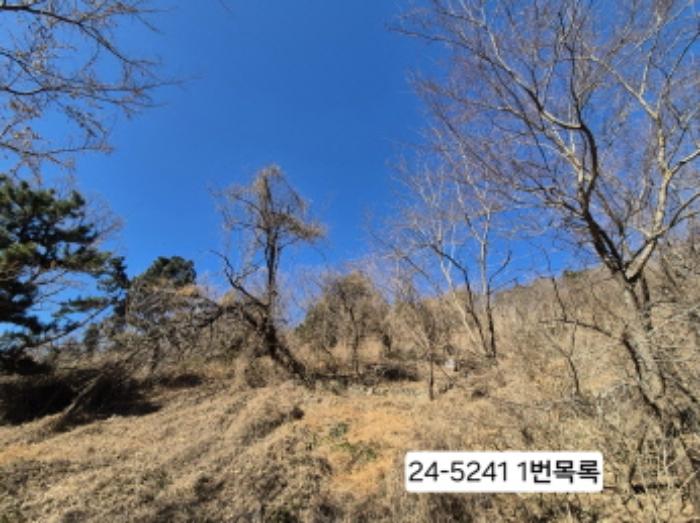 2024타경5241 경매 물건 대표 사진