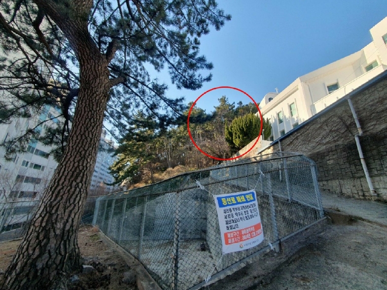 2024타경5241 부산서부지원 임야 법원경매 사진