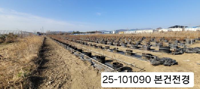 2025타경101090 경매 물건 대표 사진