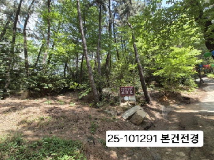 2025타경101291 경매 물건 대표 사진