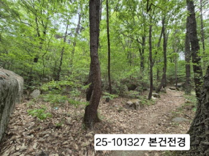 2025타경101327 경매 물건 대표 사진