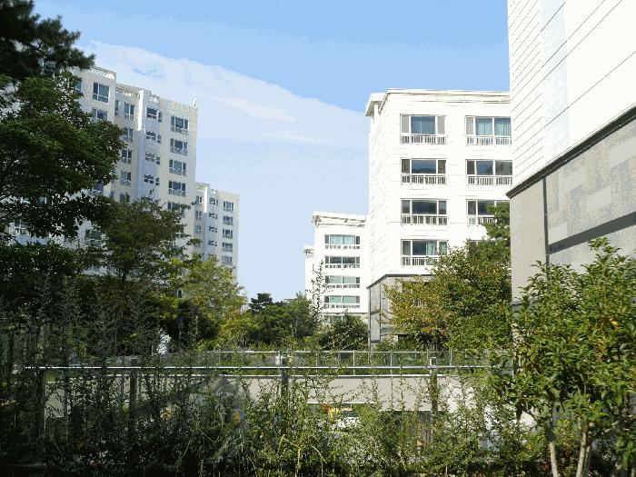 2025타경101966 부산서부지원 단독주택다가구 법원경매 사진