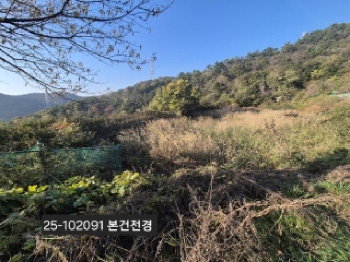 2025타경102091 부산서부지원 전답 법원경매 사진