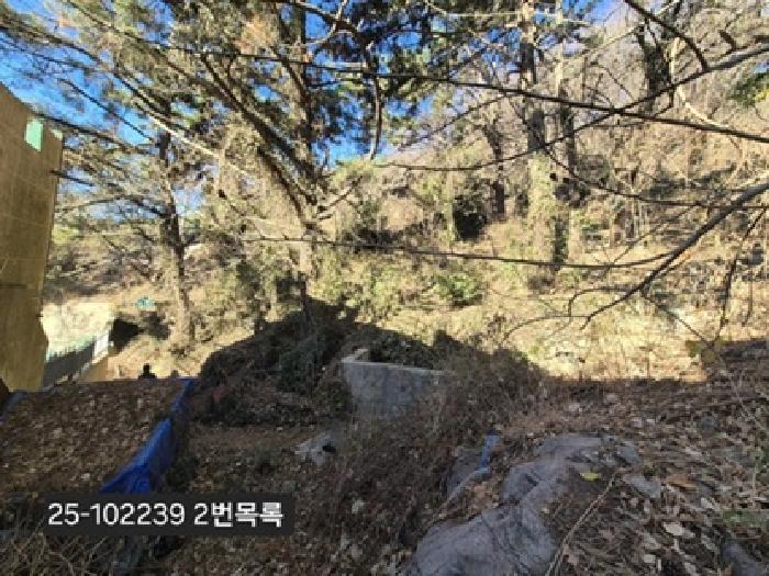 2025타경102239 부산서부지원 임야 법원경매 사진