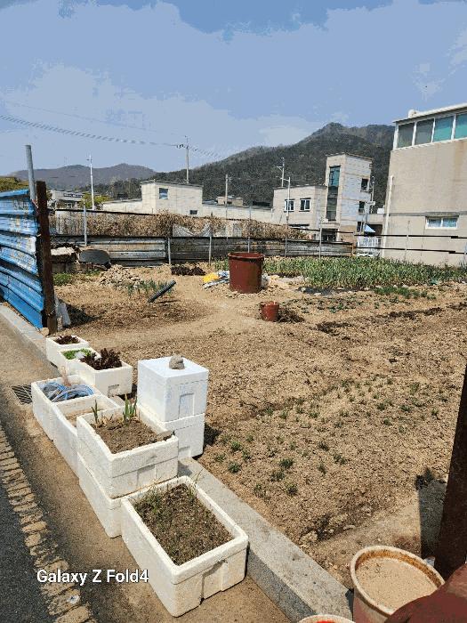 2025타경1185 경매 물건 대표 사진