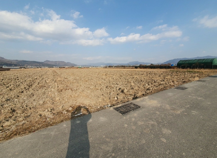 2025타경137 부산서부지원 전답 법원경매 사진