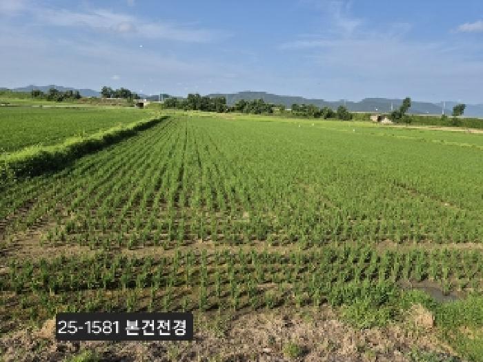 2025타경1581 경매 물건 대표 사진
