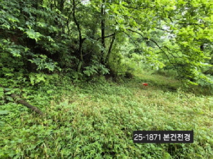 2025타경1871 경매 물건 대표 사진