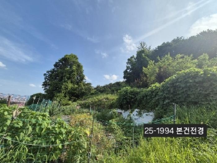 2025타경1994 경매 물건 대표 사진