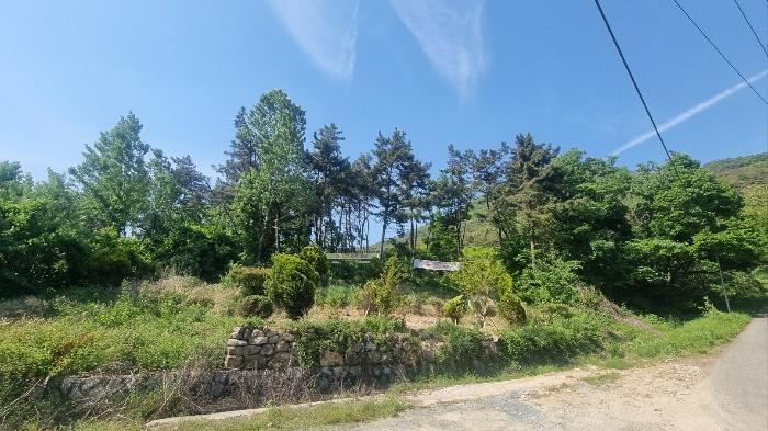 2024타경104426 경매 물건 대표 사진