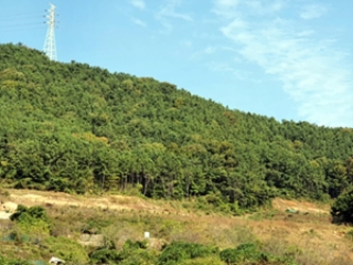 2024타경114935 창원지방법원 임야 법원경매 사진