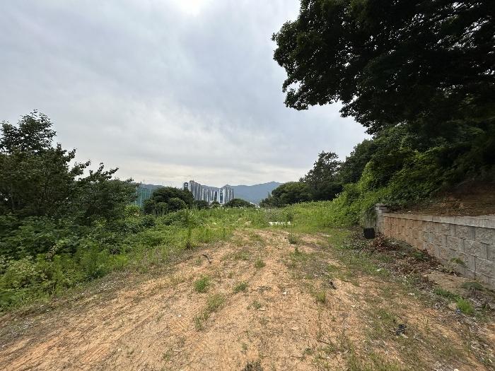 2024타경3608 경매 물건 대표 사진