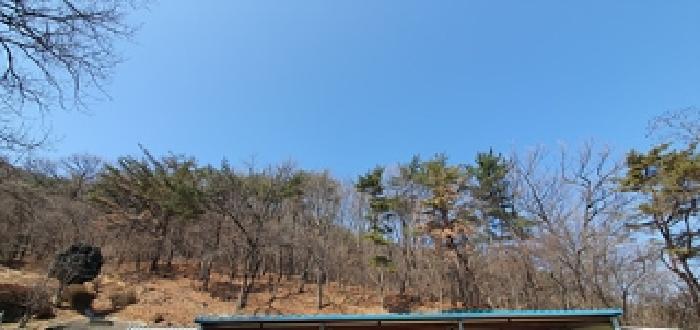 2025타경11131 경매 물건 대표 사진