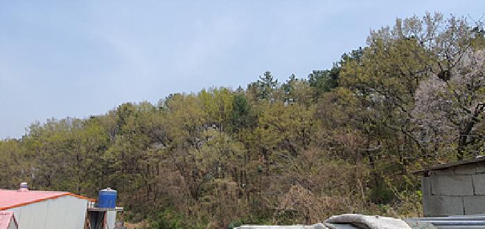 2025타경11273 경매 물건 대표 사진