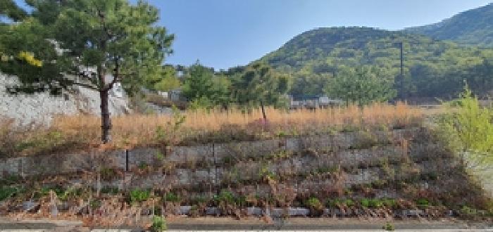 2025타경11275 경매 물건 대표 사진