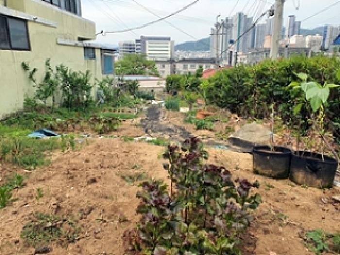 2025타경11357 경매 물건 대표 사진