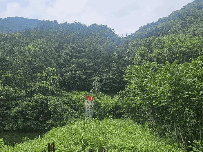 2025타경11841 경매 물건 대표 사진