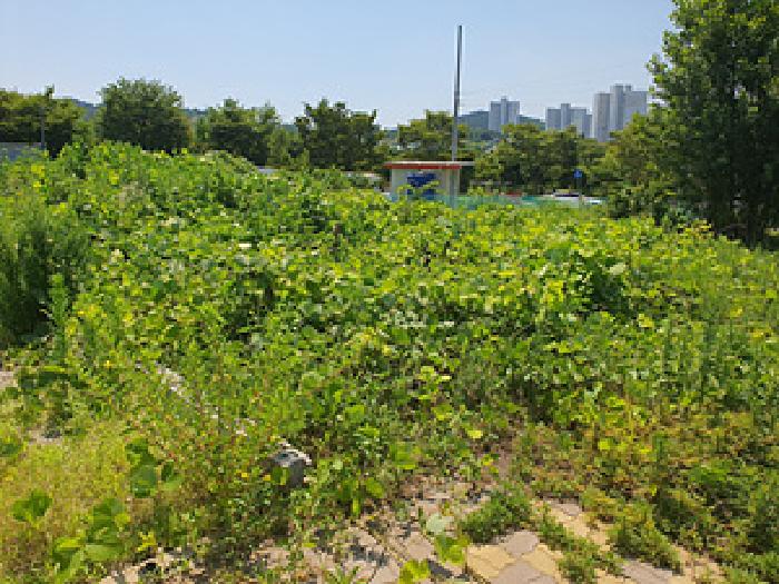 2025타경531 경매 물건 대표 사진
