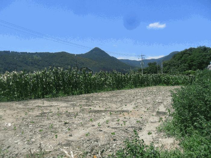2025타경593 경매 물건 대표 사진