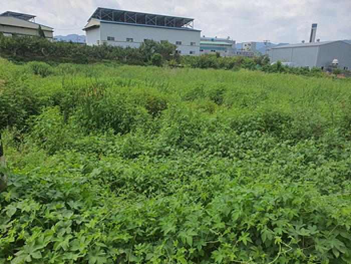 2025타경657 경매 물건 대표 사진