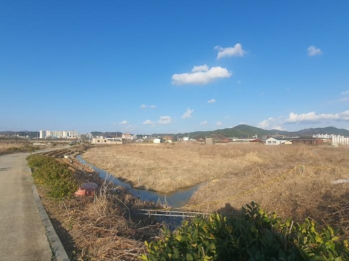 2023타경31289 경매 물건 대표 사진