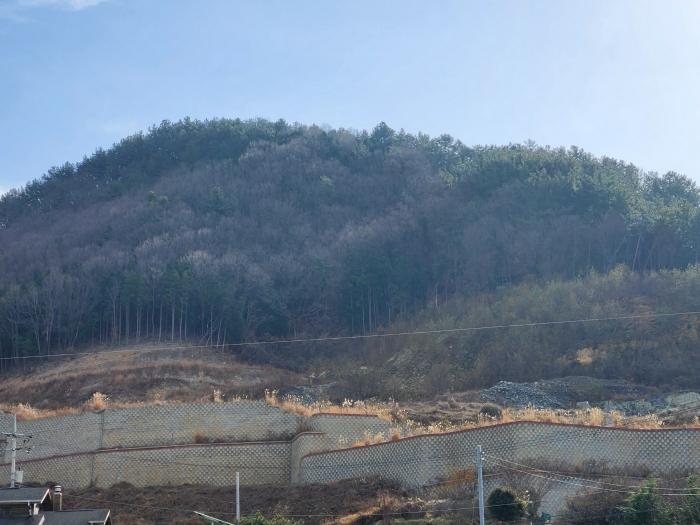 2023타경39290 경매 물건 대표 사진