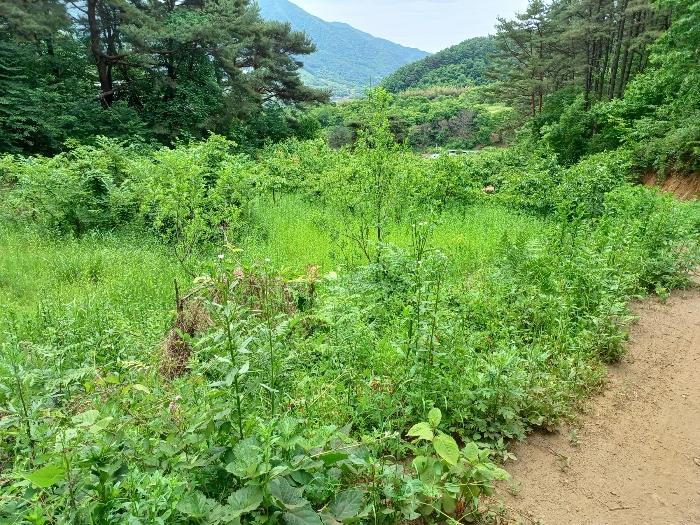2024타경2592 경매 물건 대표 사진