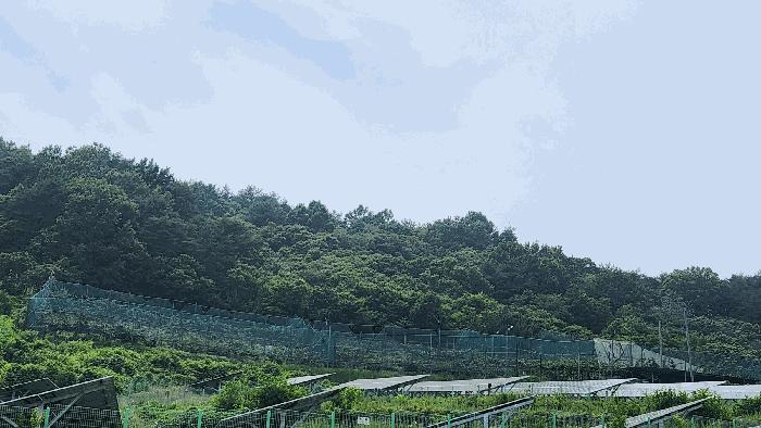 2024타경31057 경매 물건 대표 사진