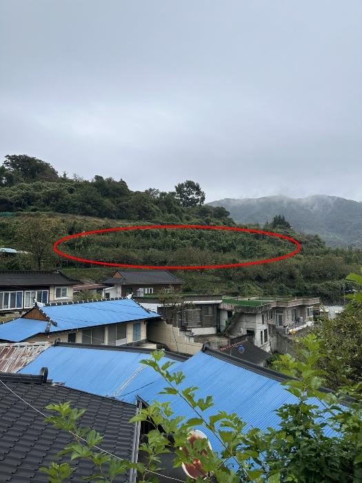 2024타경37413 경매 물건 대표 사진