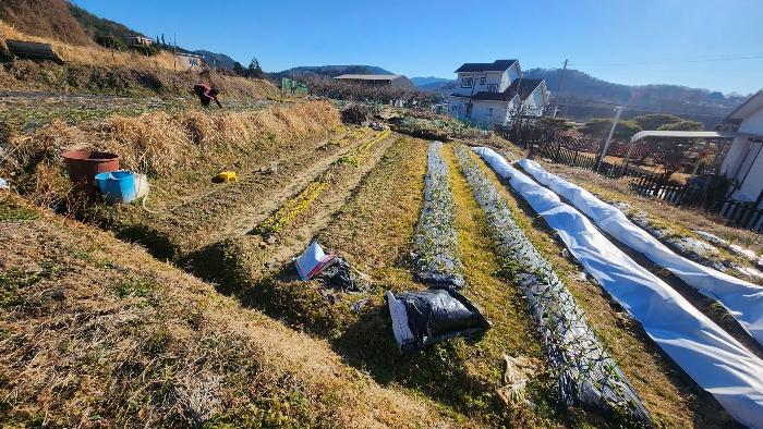 2024타경40457 경매 물건 대표 사진