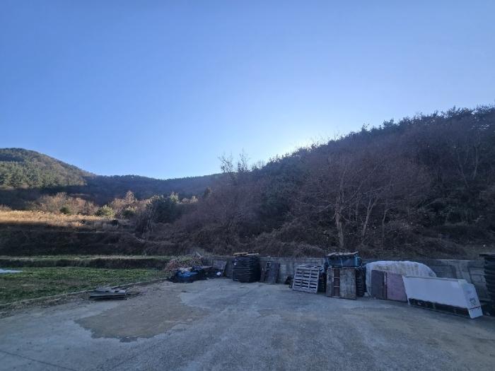 2024타경40525 경매 물건 대표 사진