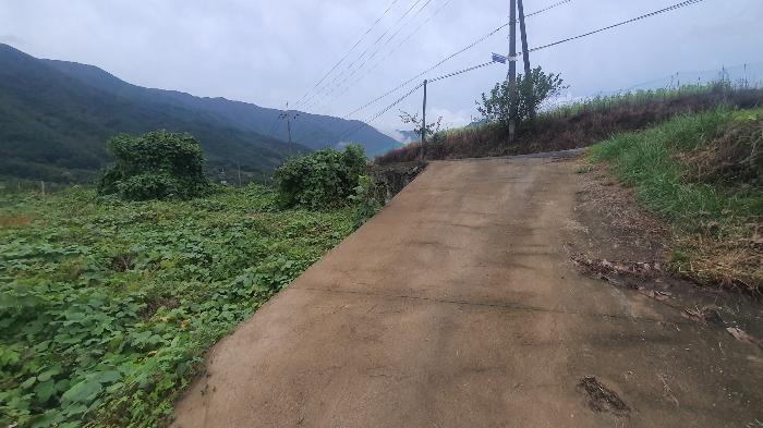 2024타경5454 경매 물건 대표 사진