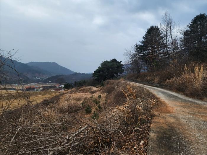 2024타경6693 경매 물건 대표 사진