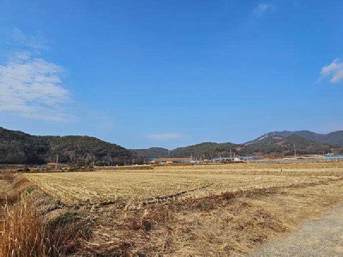 2025타경1059 경매 물건 대표 사진