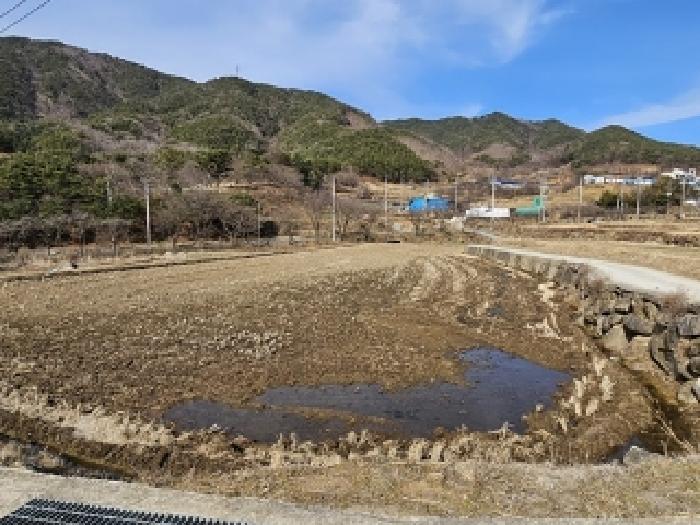 2025타경30402 경매 물건 대표 사진