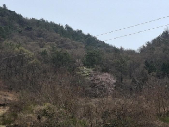 2025타경30604 경매 물건 대표 사진